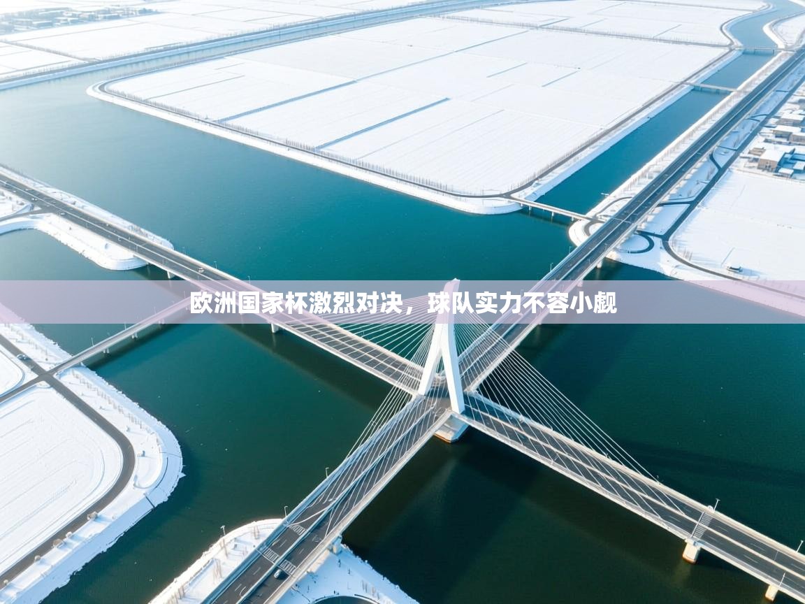 欧洲国家杯激烈对决，球队实力不容小觑