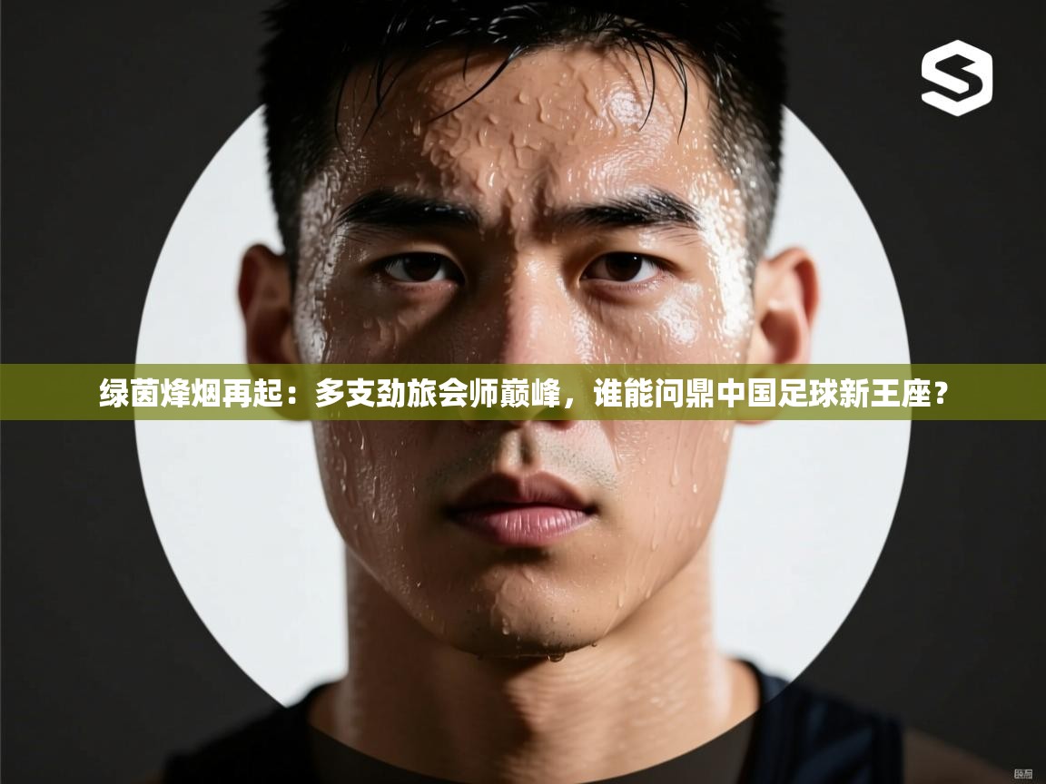 绿茵烽烟再起：多支劲旅会师巅峰，谁能问鼎中国足球新王座？