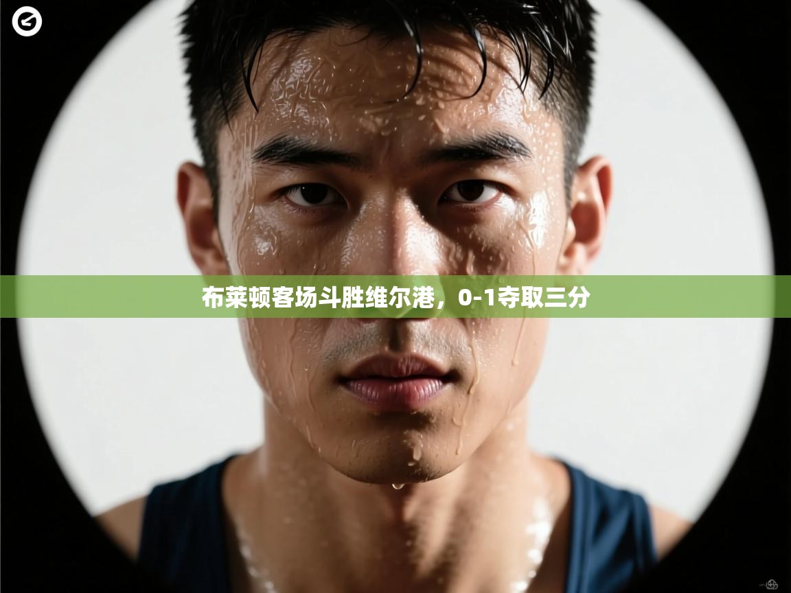 布莱顿客场斗胜维尔港,0-1夺取三分 第1张