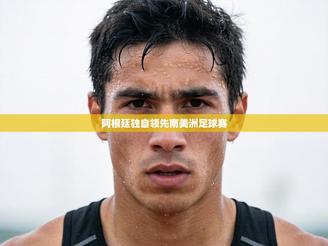 阿根廷独自领先南美洲足球赛